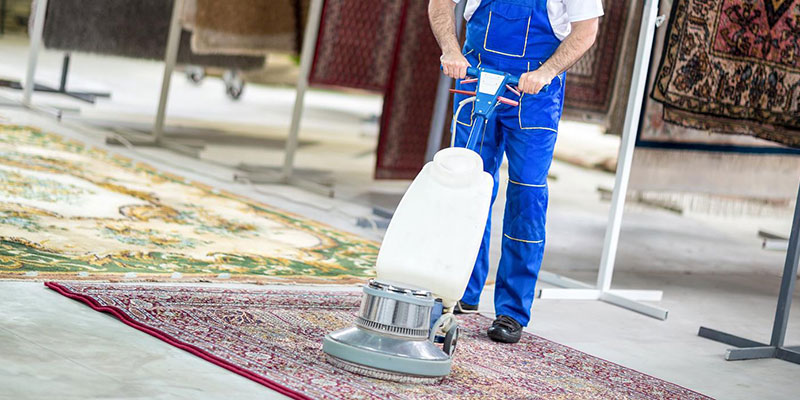 Delice Halı Yıkama